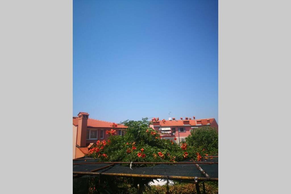 Casa Di Nonna Pina, Kuca U Blizini Arene Apartamento PUY Exterior foto